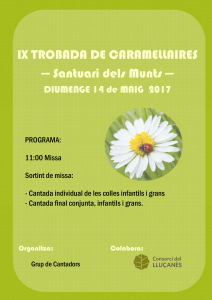 Cartell IX TROBADA CARAMELLAIRES