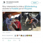 twitter de @conpequessi 