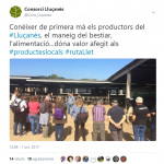 twitter de @Cons_Llucanes