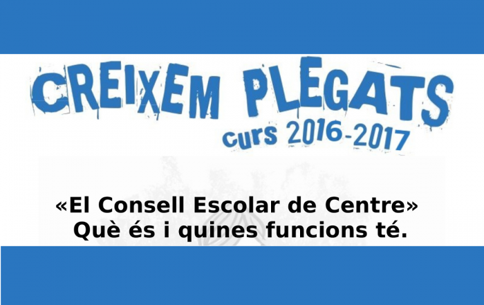 Xerrada: La importància dels Consells Escolars de Centre