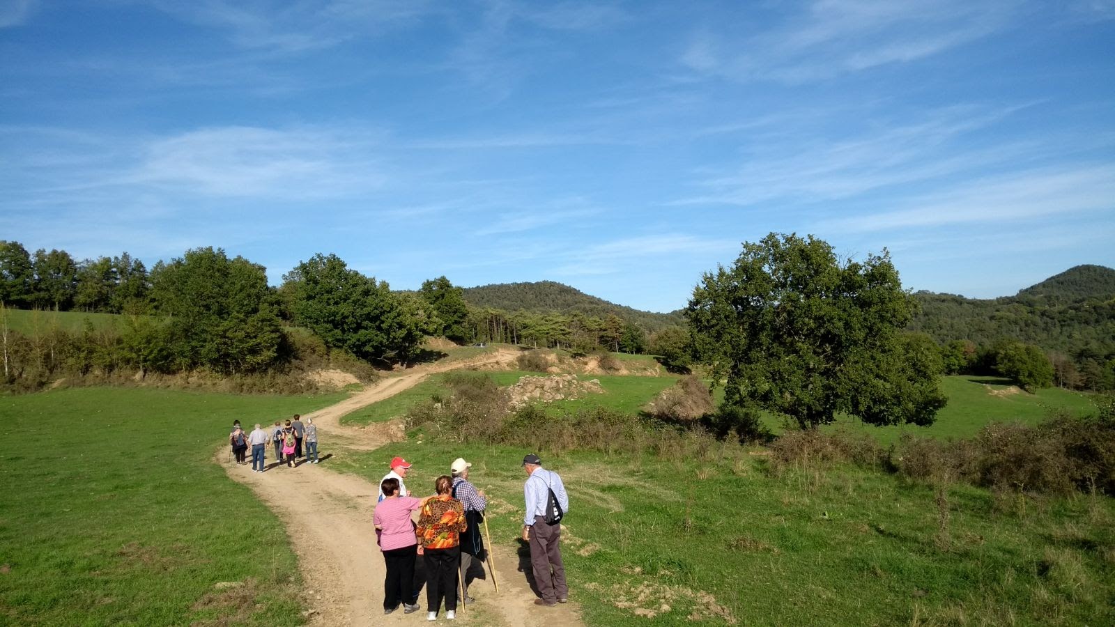 Font Bona 24-10-17 (1)