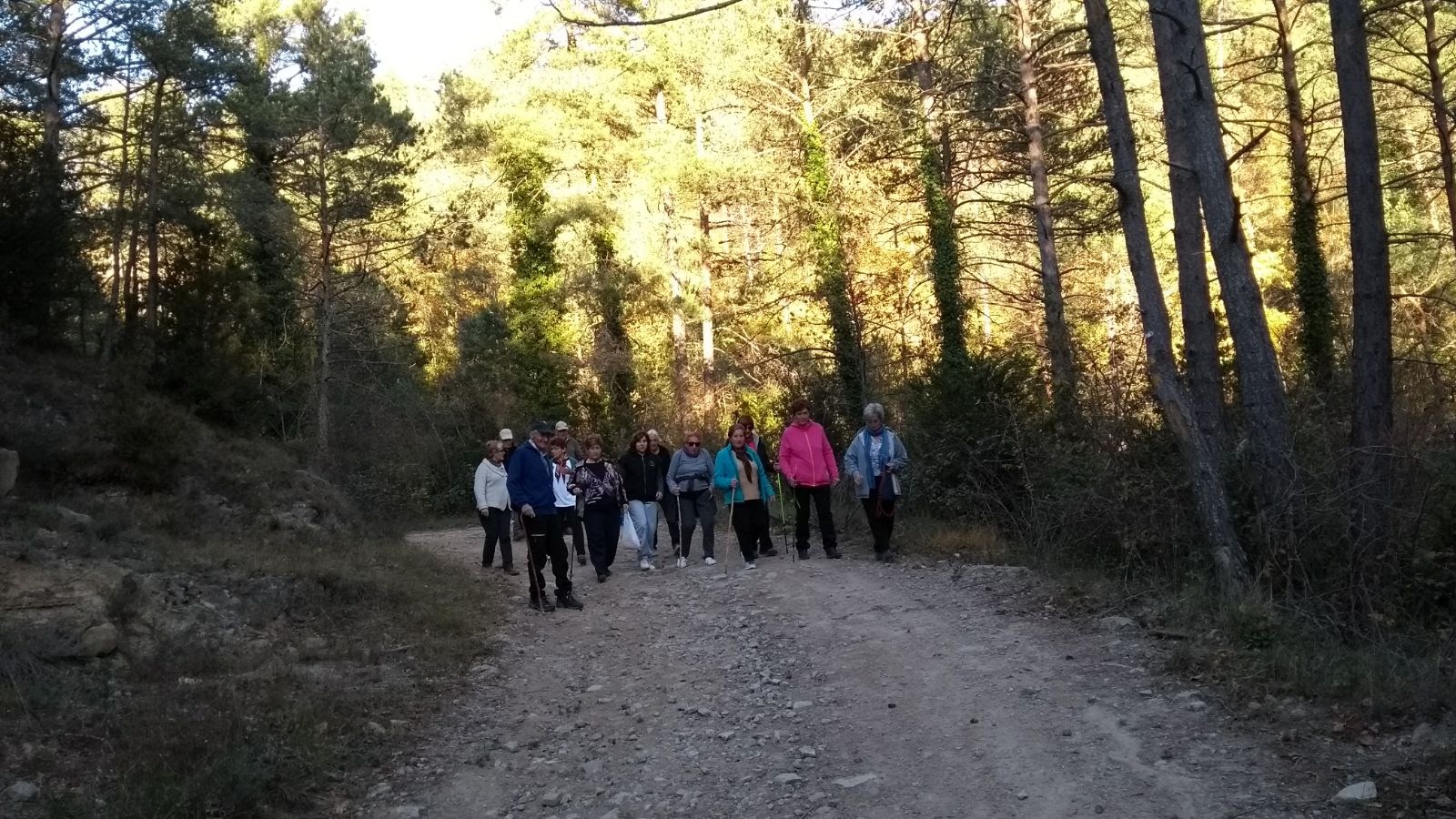 MATAMOSSES 21-11-17 (10)