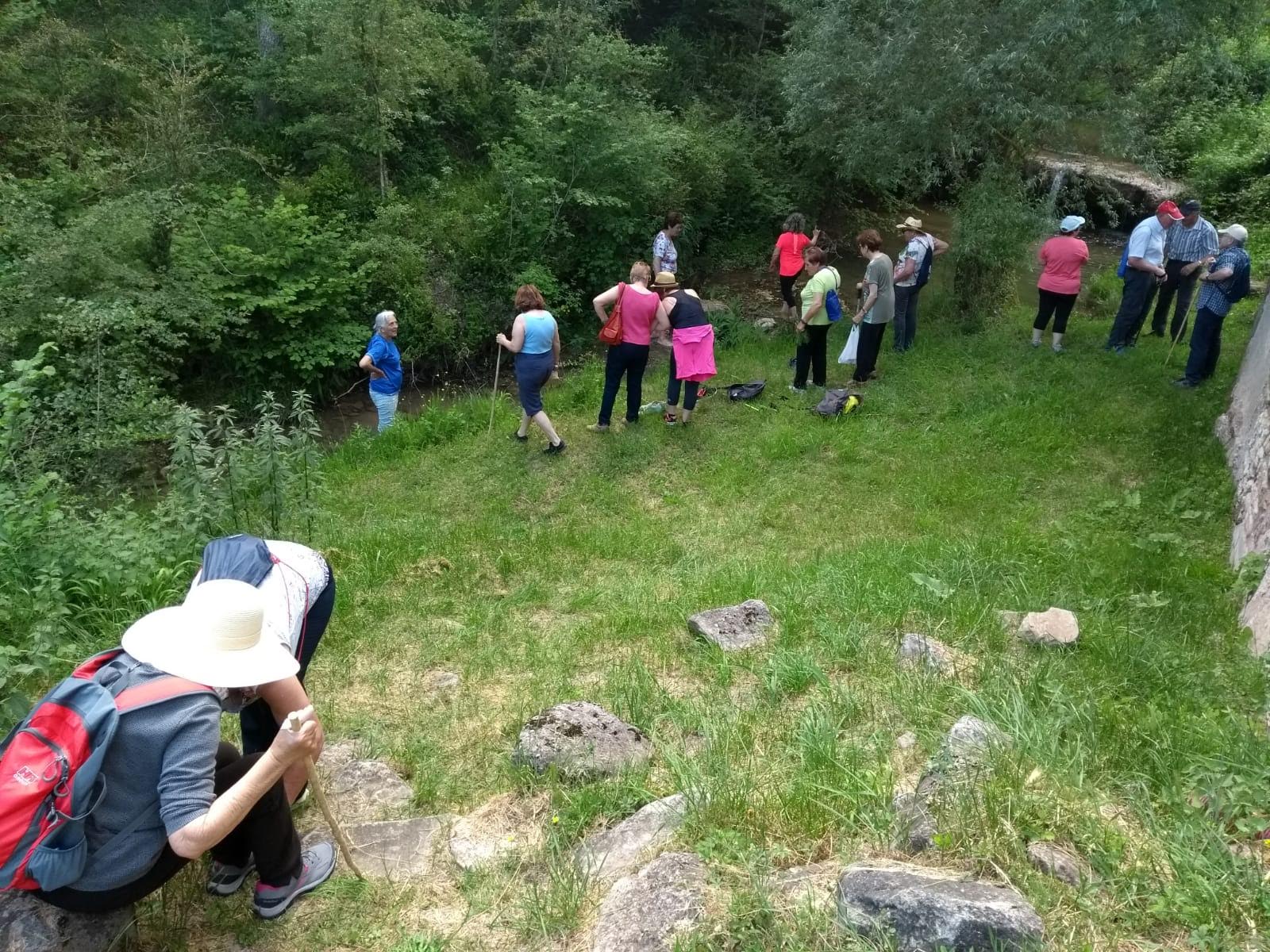 FONT DEL PI 19_6 (1b)