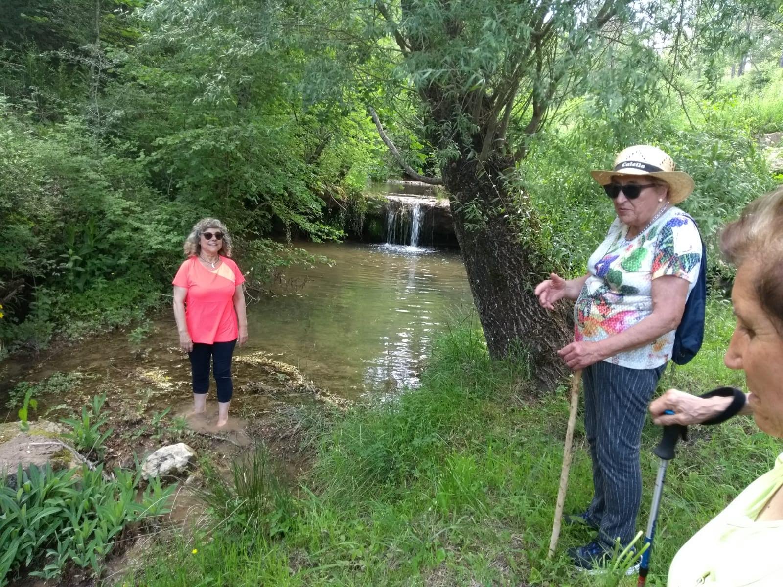 FONT DEL PI 19_6 (1c)