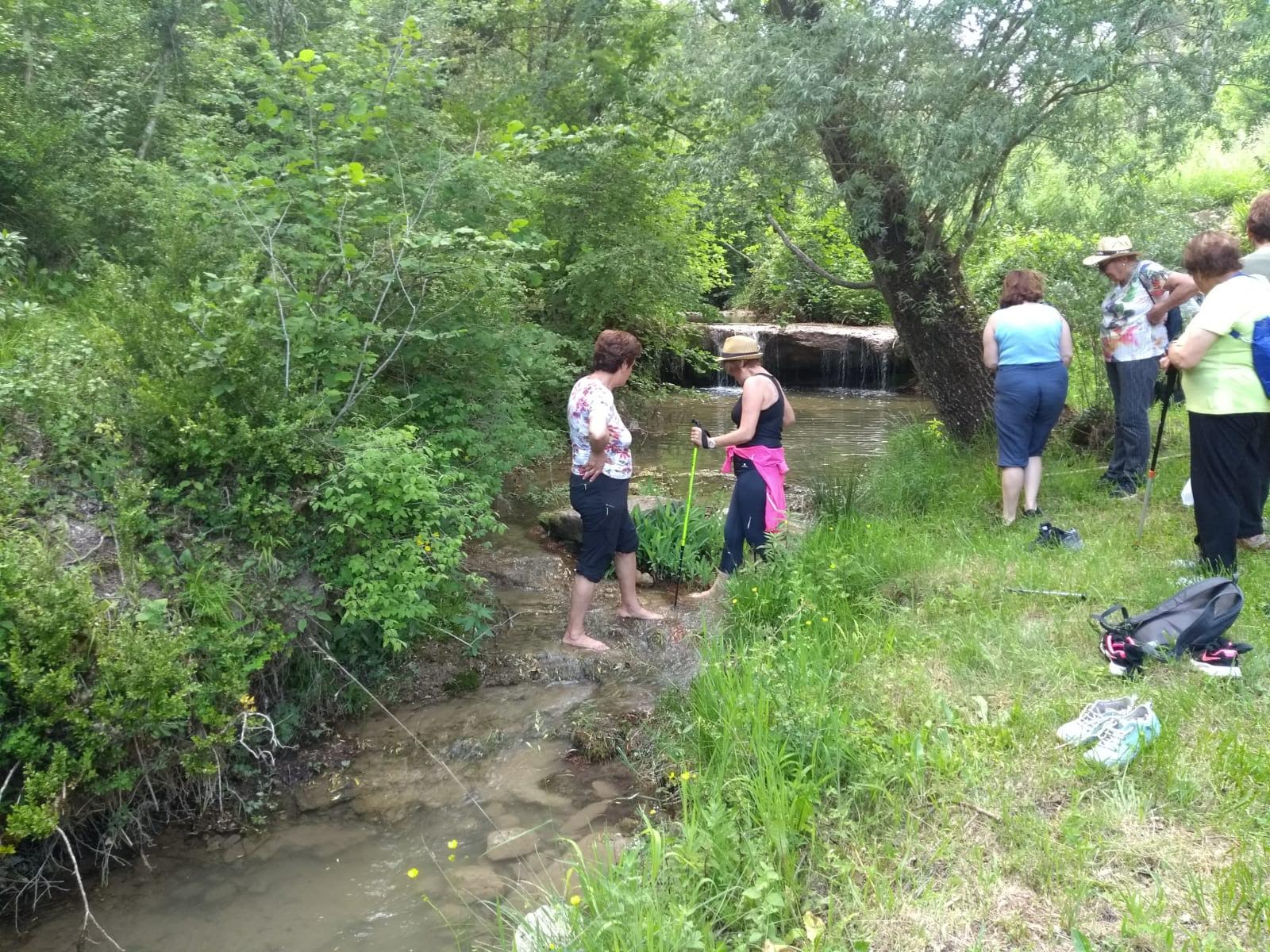 FONT DEL PI 19_6 (1d)