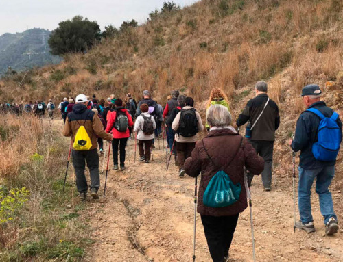 Cicle de passejades per a la gent gran