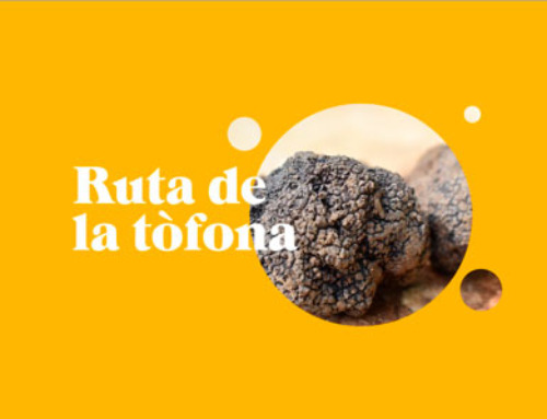 Ruta de la tòfona