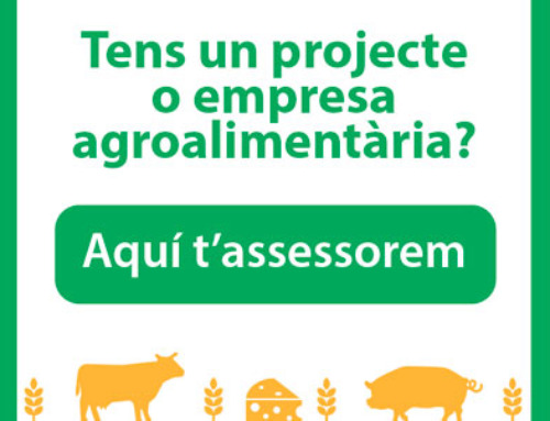 Servei d’assessorament a emprenedors i empreses agroalimentaries