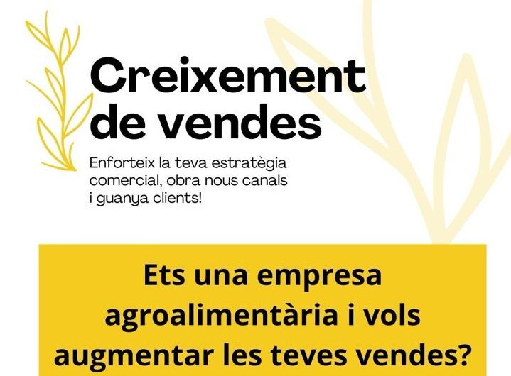 Programa Creixement de vendes