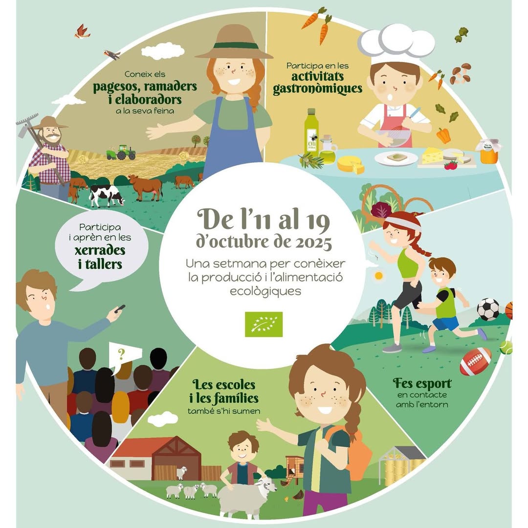 544514470_1350053993788304_308786767708280208_n