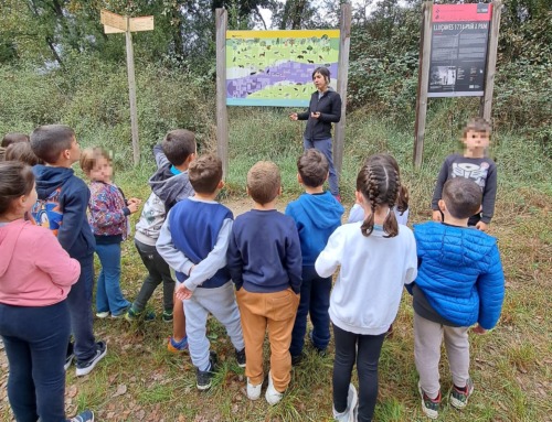 El Consorci del Lluçanès impulsa per tercer any el projecte d’apropament del patrimoni local a l’alumnat del territori