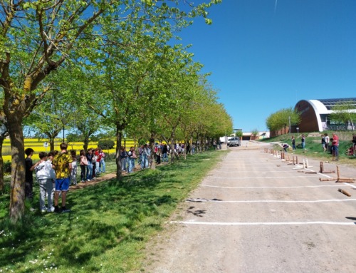Finalitza una nova edició del projecte intergeneracional de bitlles catalanes a l’Institut Castell del Quer