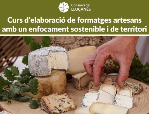 Curs d’elaboració de formatges artesans amb un enfocament sostenible i de territori