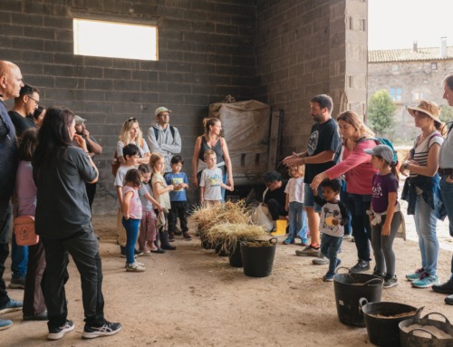 Més de 300 persones participen al Benvinguts a Pagès al Lluçanès en una edició marcada per la pluja